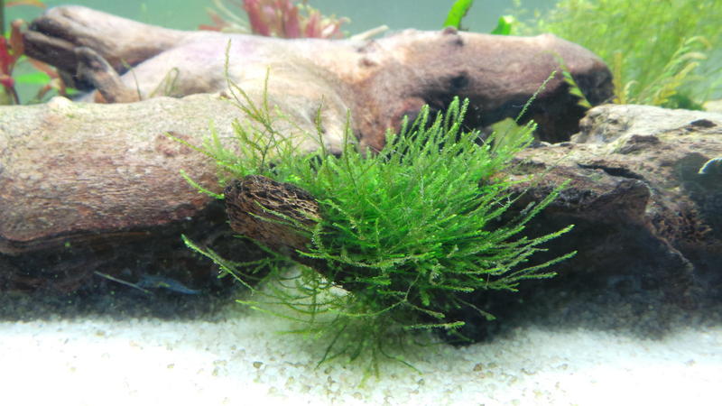 20120717_113329.jpg