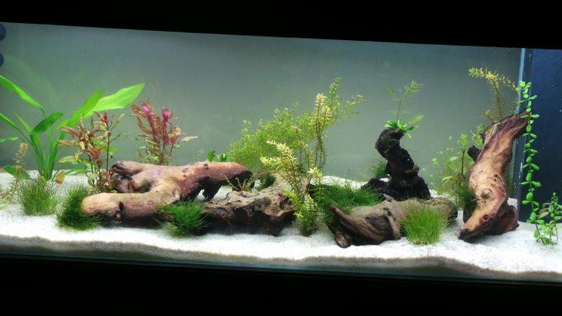 20120717_113600.jpg