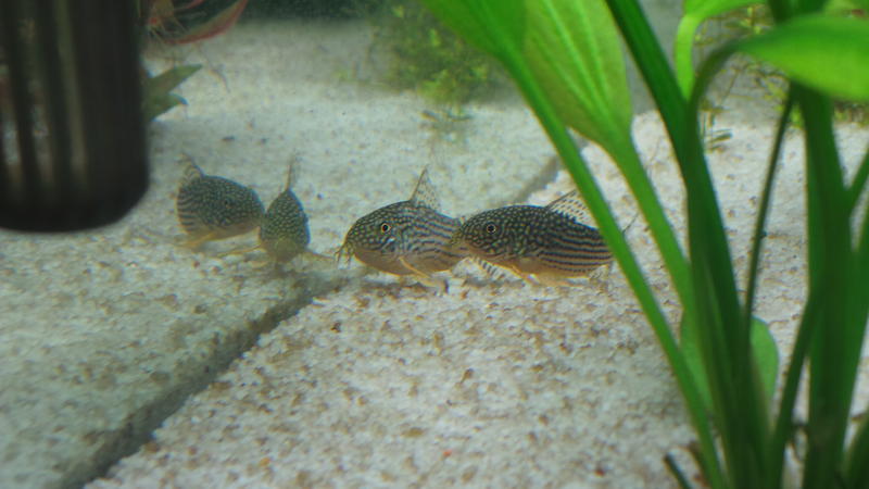 20120717_113648.jpg
