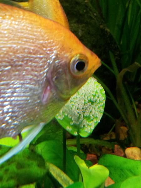 20120719_175210.jpg
