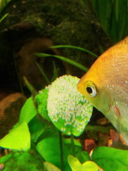 20120719_175222.jpg