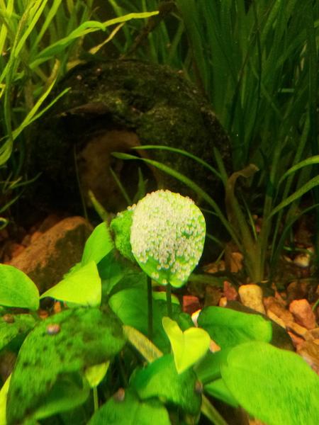 20120719_175245.jpg