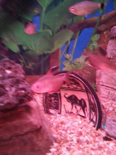 20120820_060354.jpg