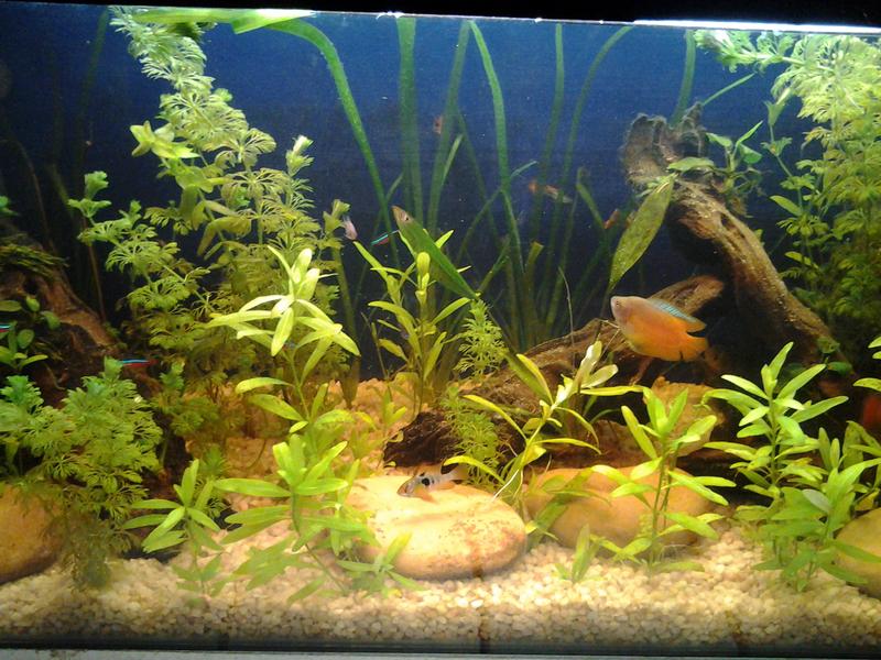 20120910_215009.jpg