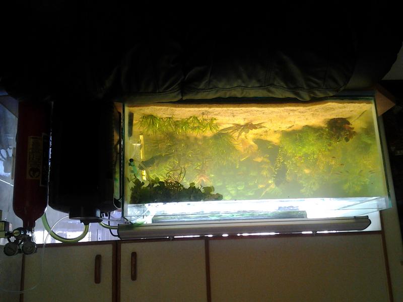 20120920_103838.jpg