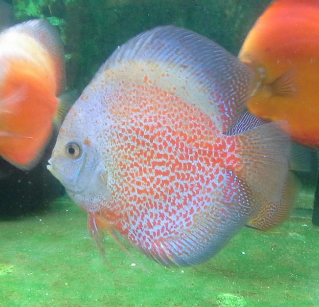 20121021_163725-1.jpg