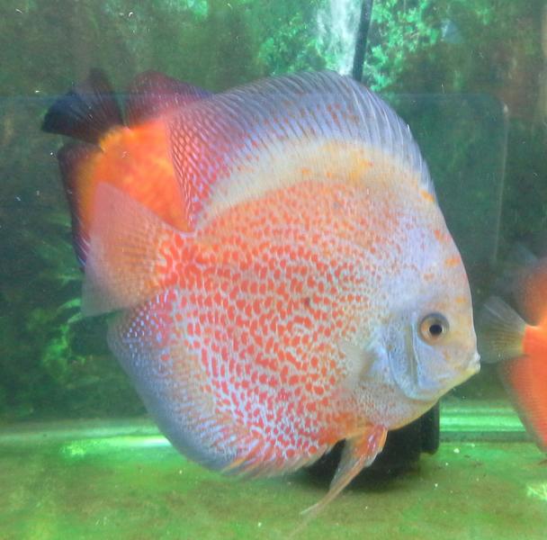 20121021_163753-1.jpg