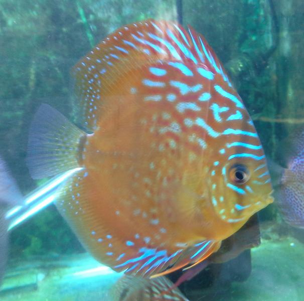 20121021_163810-1.jpg