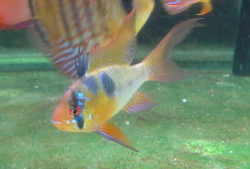 20121021_164010-1.jpg