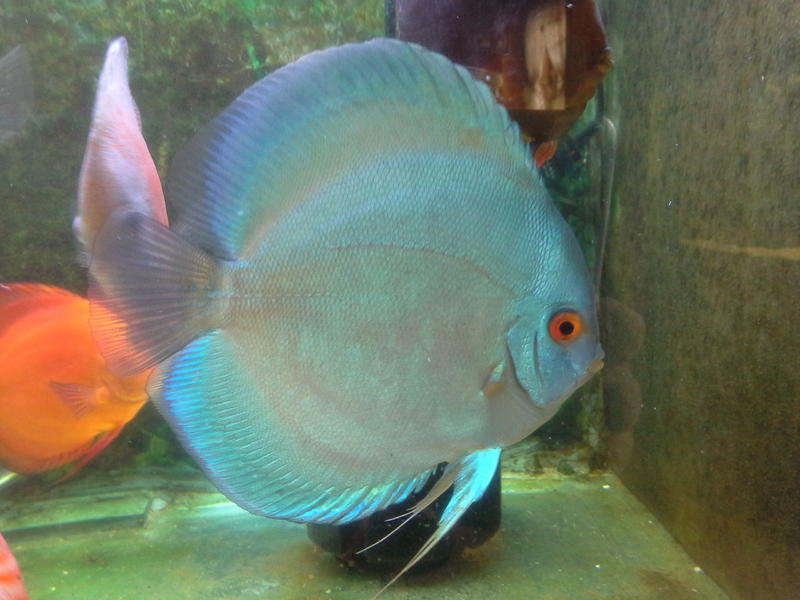20121021_164114.jpg