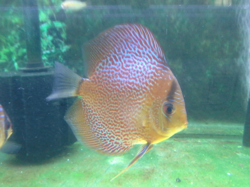 20121021_164125.jpg