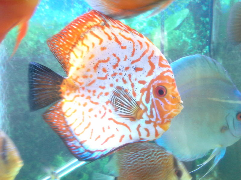 20121021_164232.jpg