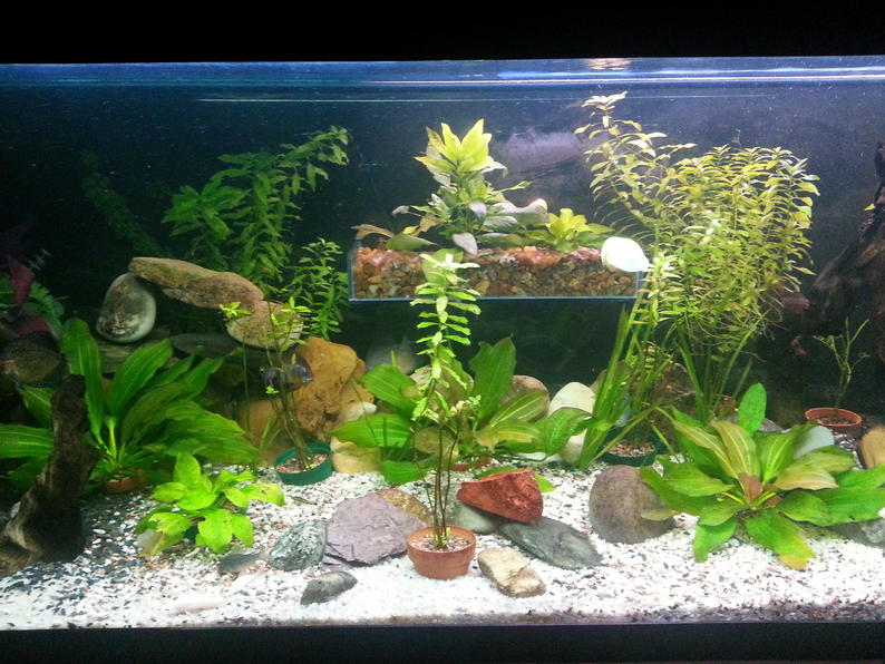 2013-01-17 20.03.32.jpg