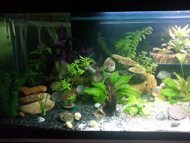 2013-01-17 20.03.41.jpg