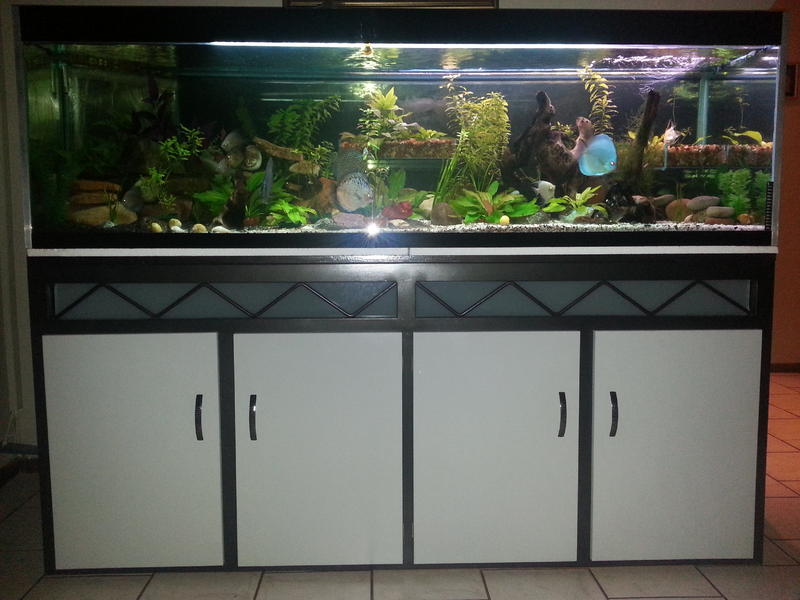 2013-01-17 20.06.55.jpg