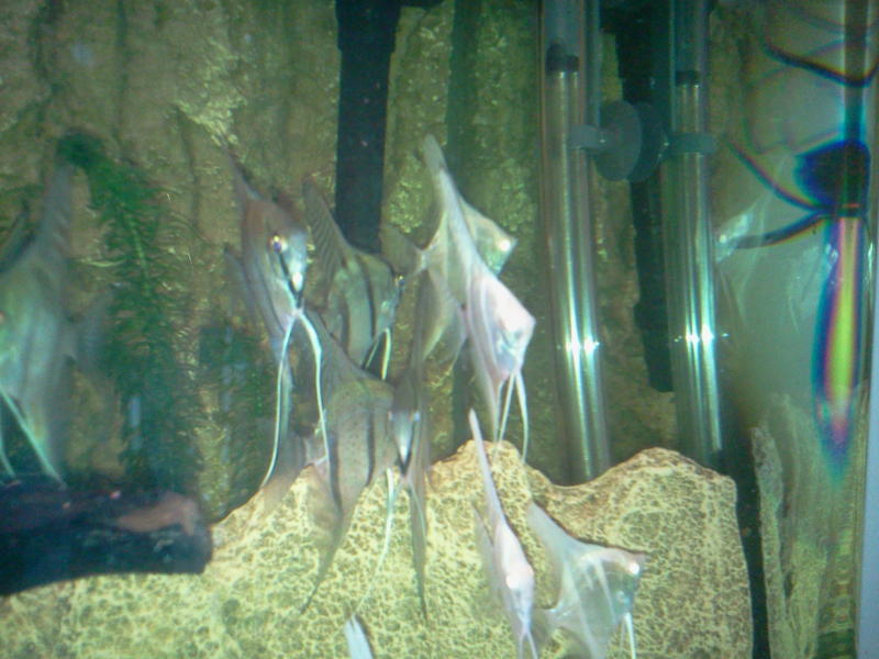 2013-02-04 18.33.49.jpg