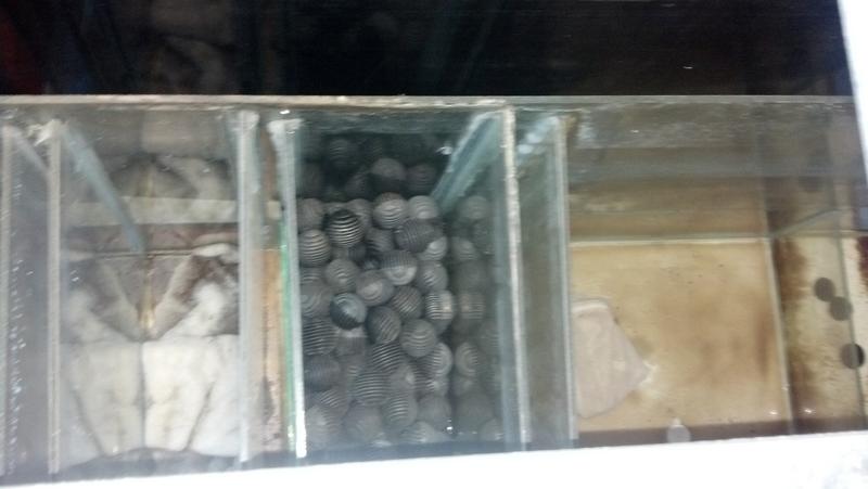 2013-03-20_17-35-29_175.jpg