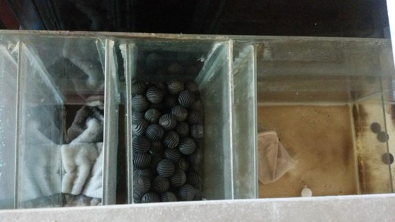 2013-03-20_17-35-34_476.jpg