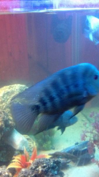 2013-06-21_19-29-13_55.jpg