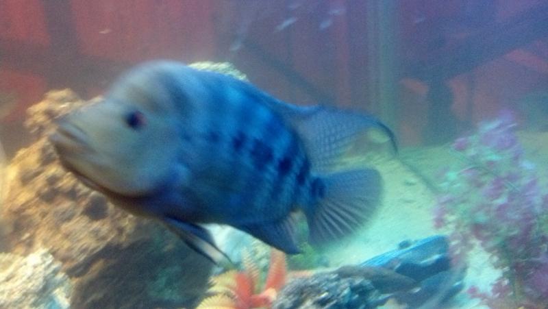 2013-06-21_19-29-37_168.jpg