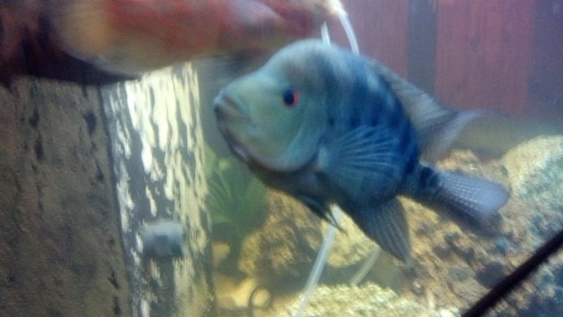 2013-06-21_19-30-03_167.jpg