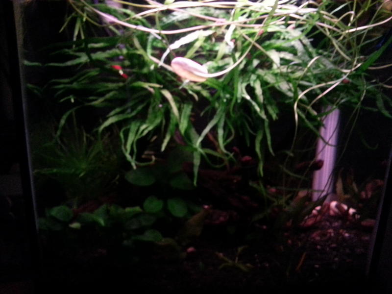 2013-07-11 23.35.31.jpg