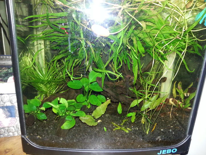 2013-07-11 23.35.39.jpg