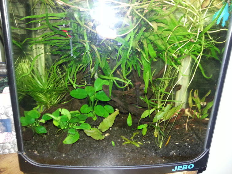 2013-07-11 23.35.44.jpg