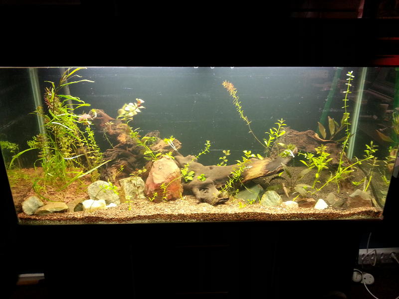 2013-07-13 05.57.05.jpg