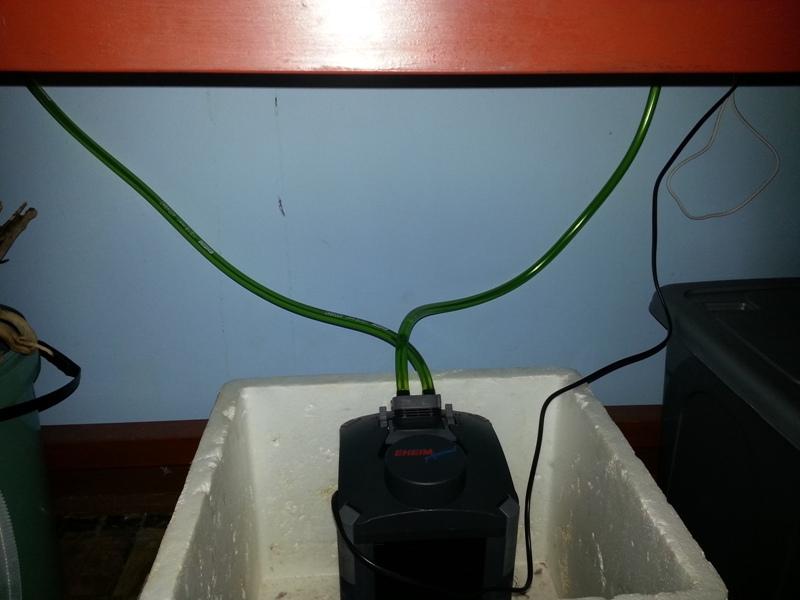 20130401_213504.jpg