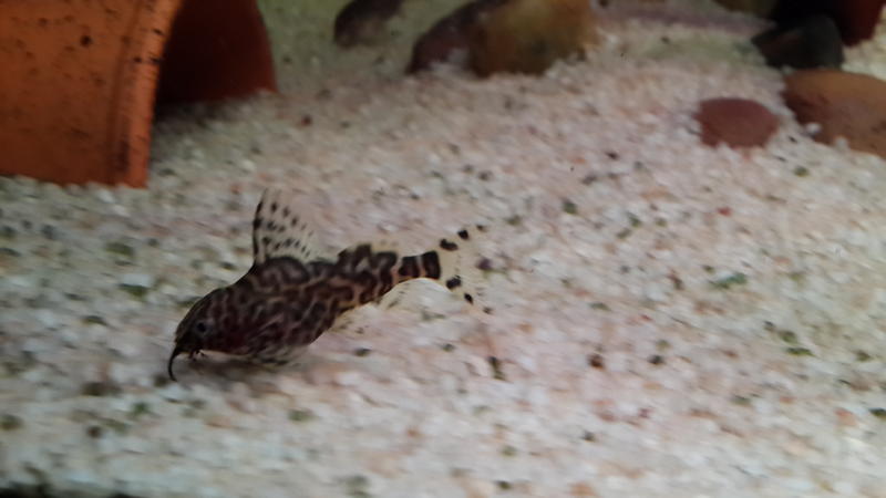 20130802_190859.jpg