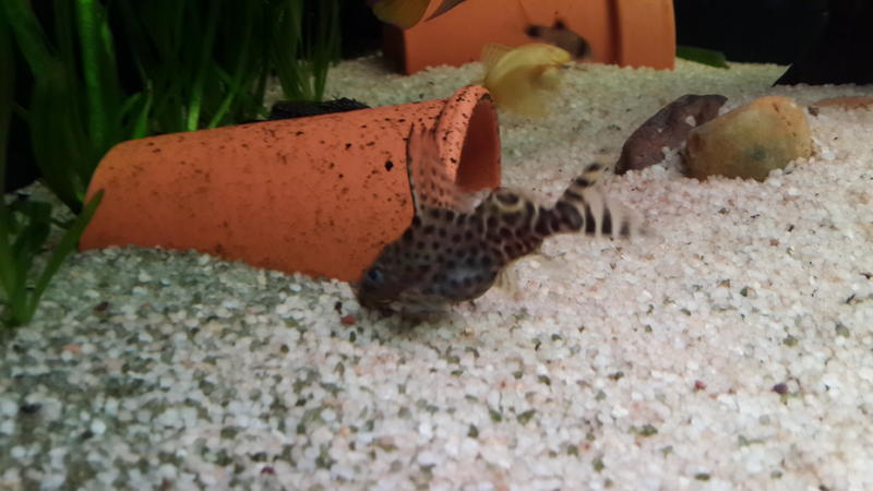 20130802_191025.jpg