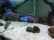 20130819_171134 (Custom).jpg