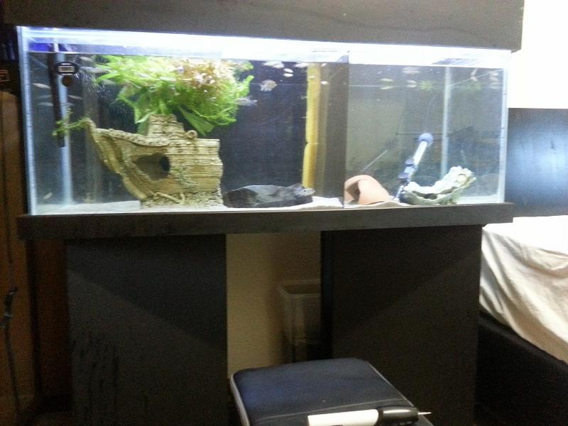 20130905_180718.jpg