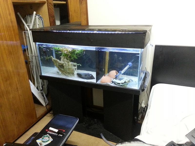 20130905_180731.jpg