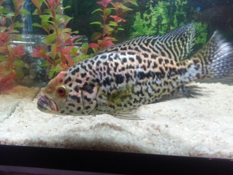 20130912_180130.jpg