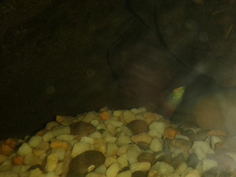 20130914_195756-1.jpg