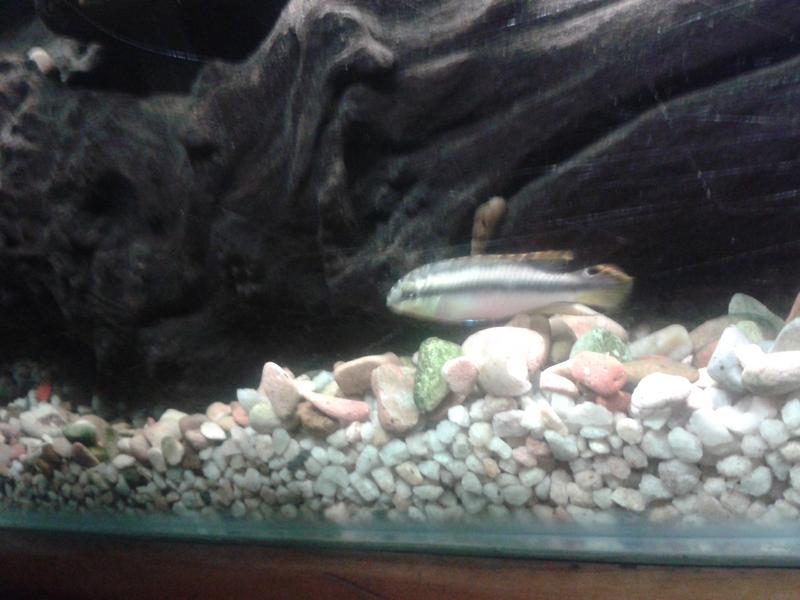 20130924_203416.jpg