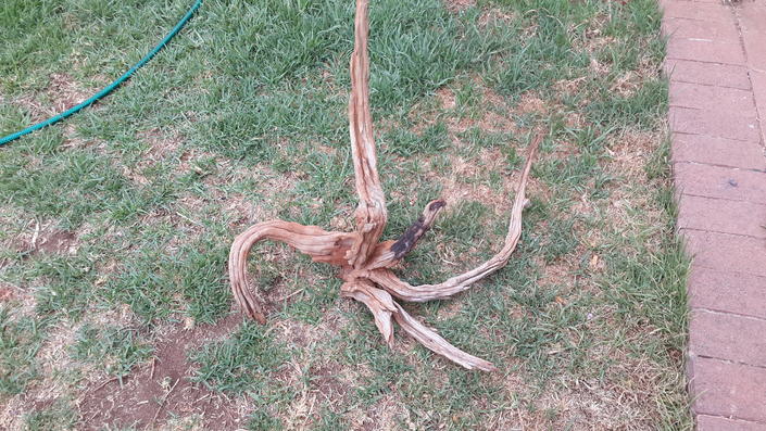 20131011_165218.jpg