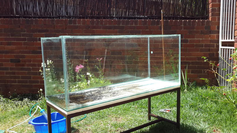 20131012_125535.jpg