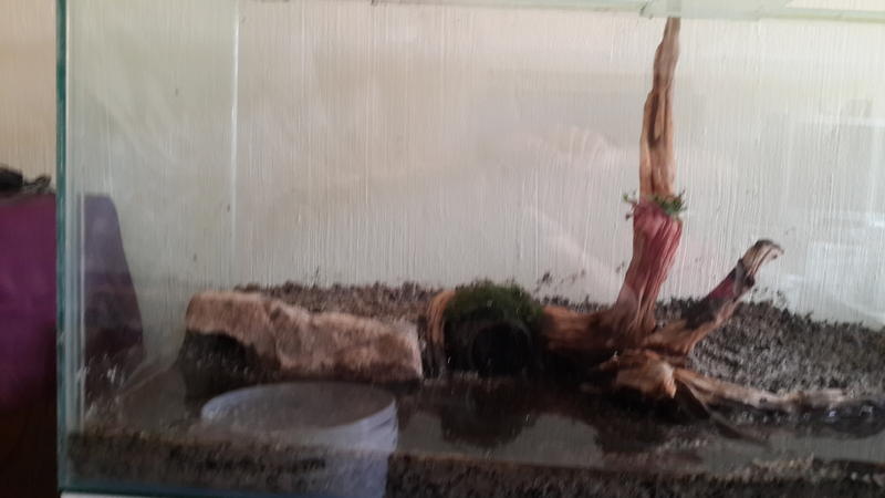 20131012_134820.jpg
