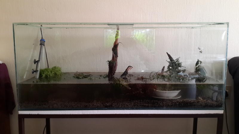 20131012_142541.jpg