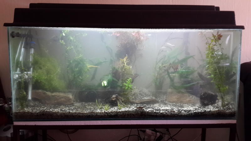 20131012_150808.jpg