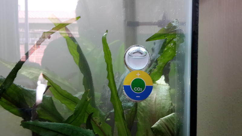 20131012_154054.jpg