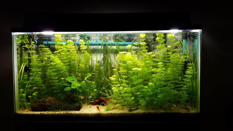 20131013_194428.jpg