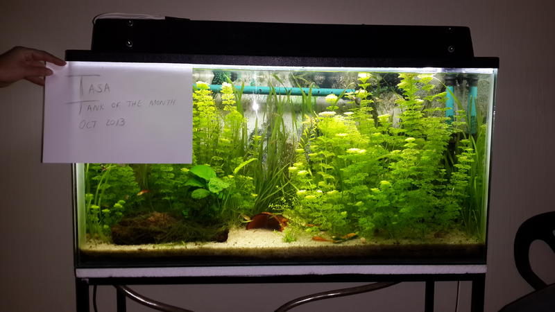 20131013_194724.jpg