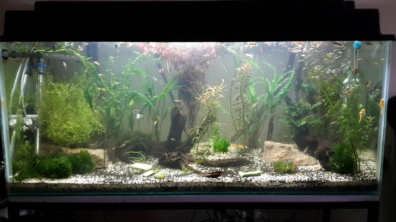 20131019_161415.jpg