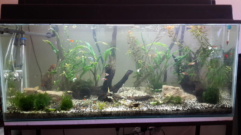 20131027_133312.jpg
