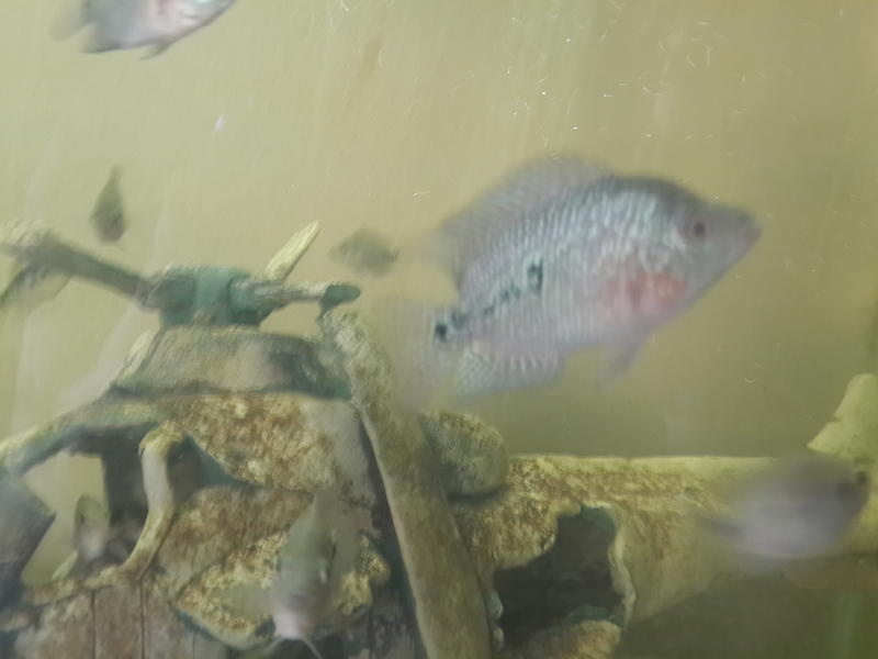 20131101_172205.jpg