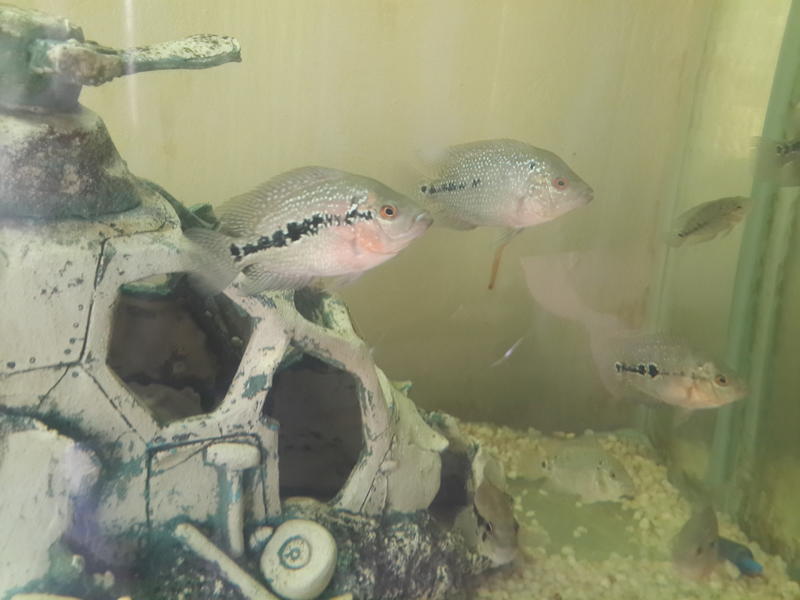 20131102_130359.jpg